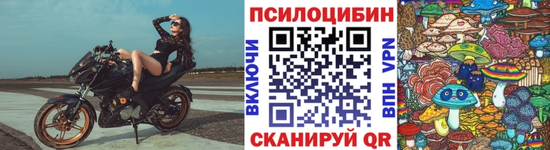 Псилоцибиновые грибы Psilocybe  Верхний Уфалей 